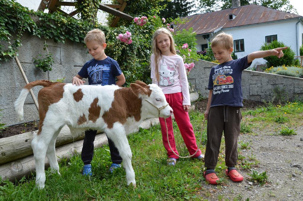 Ferienwohnung Vonwald Michelbach エクステリア 写真