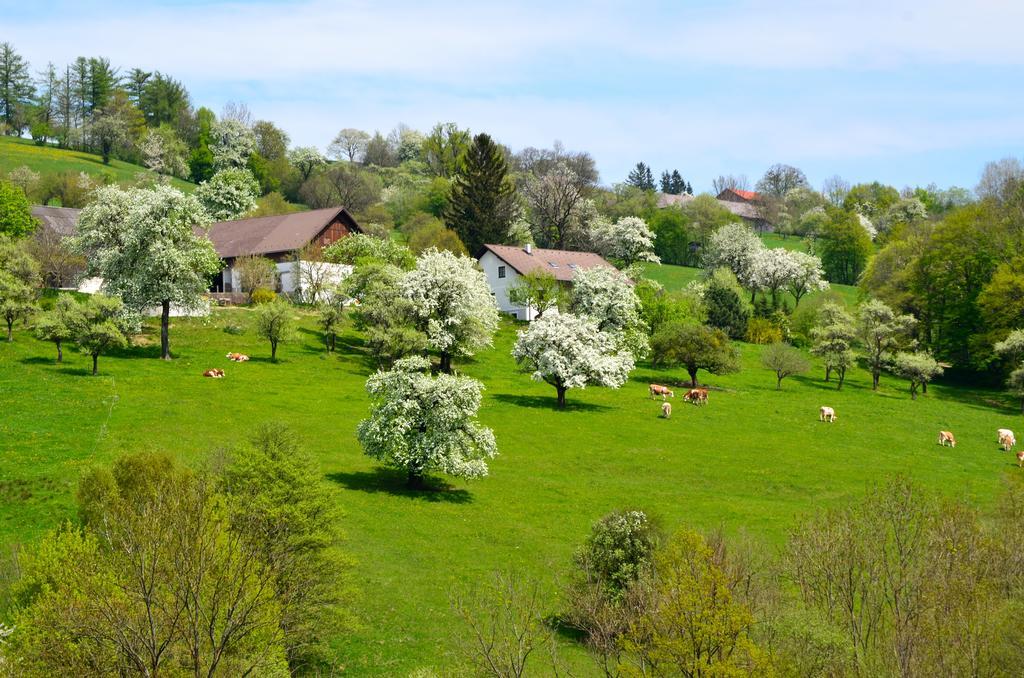 Ferienwohnung Vonwald Michelbach エクステリア 写真