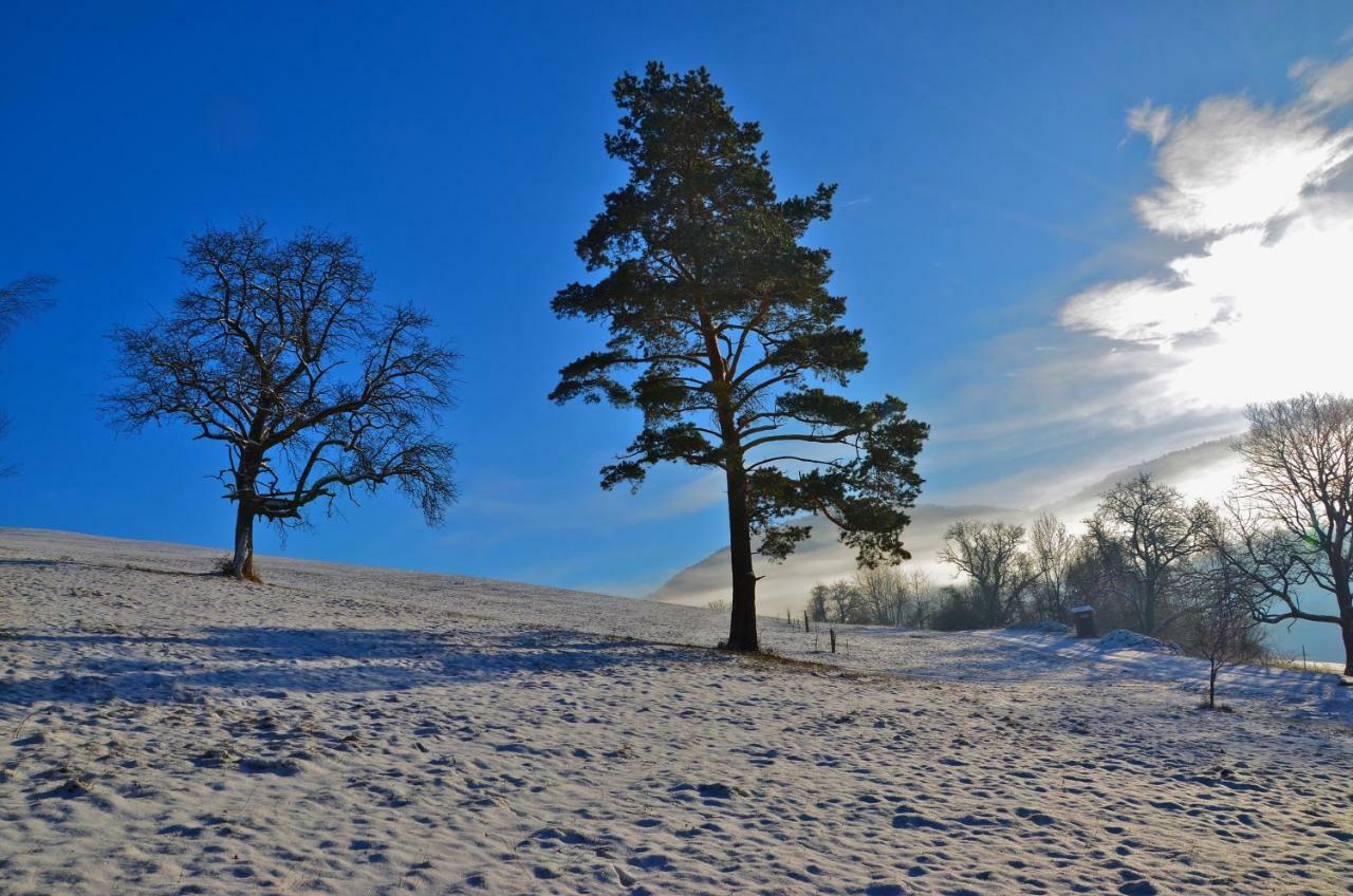 Ferienwohnung Vonwald Michelbach エクステリア 写真