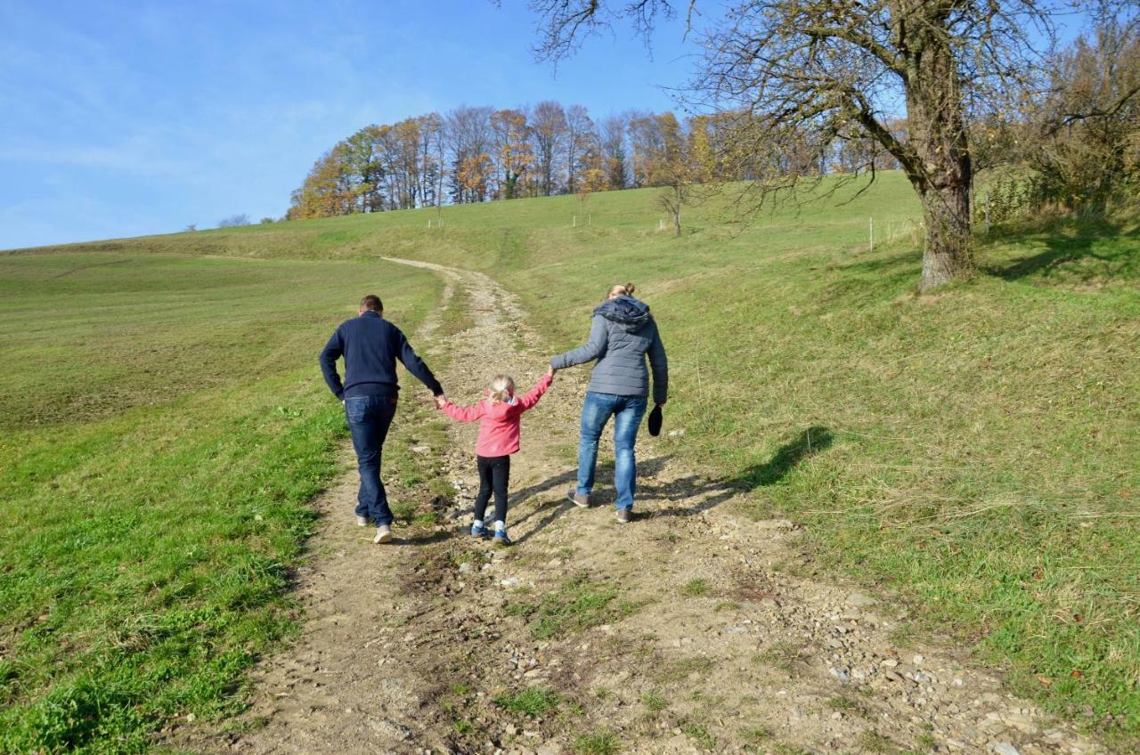 Ferienwohnung Vonwald Michelbach エクステリア 写真