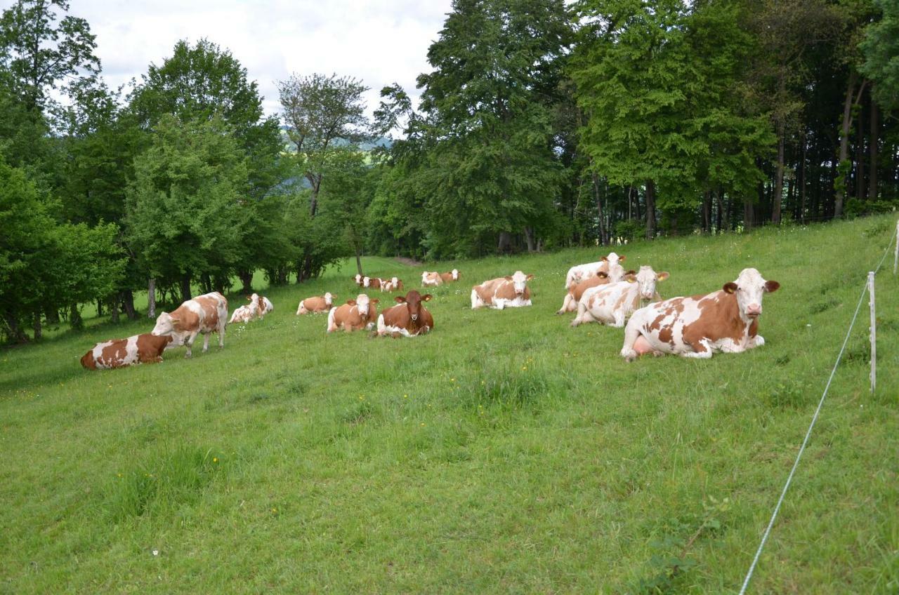 Ferienwohnung Vonwald Michelbach エクステリア 写真