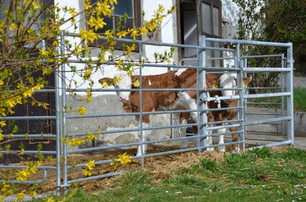 Ferienwohnung Vonwald Michelbach エクステリア 写真